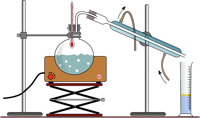 in the boiling solution